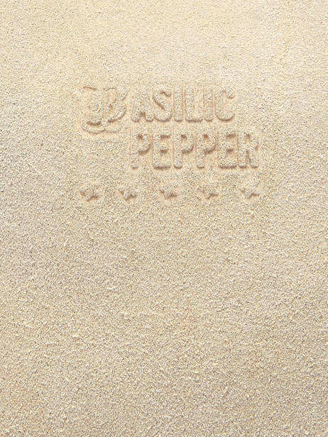 Sac à Main A4 Houston Cuir Basilic pepper Beige houston BHOU31 vue secondaire 5