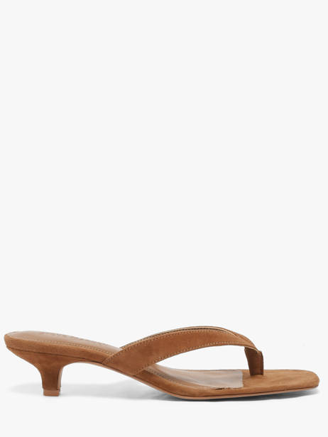 Heeled Flip Flops Steve madden Brown women 11004731